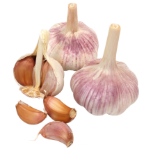 2020 new crop organic fresh bulk garlic for sale Africa